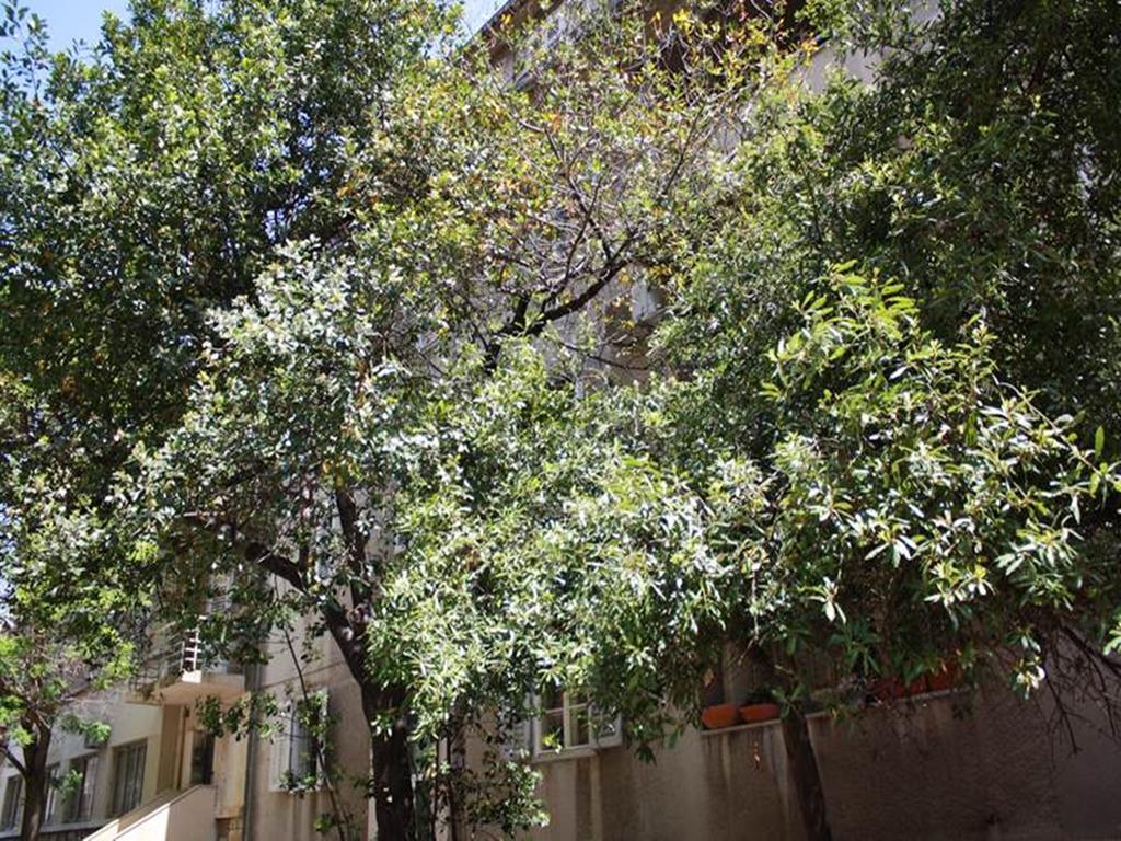 Klarina Apartments Σπλιτ Δωμάτιο φωτογραφία